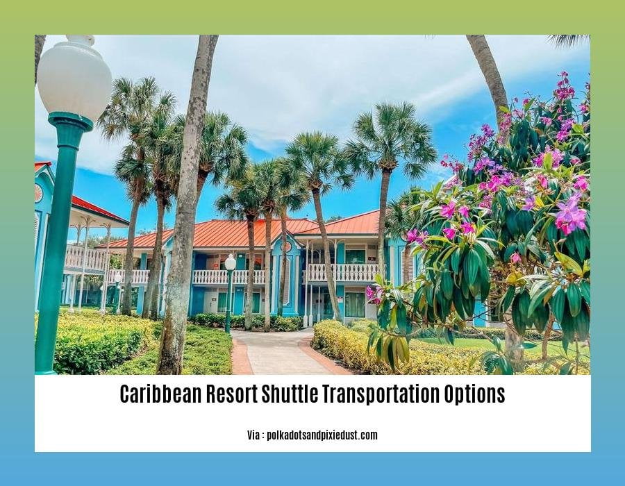 Caribbean Resort Shuttle Transportation Options: A Guide to Navigating 